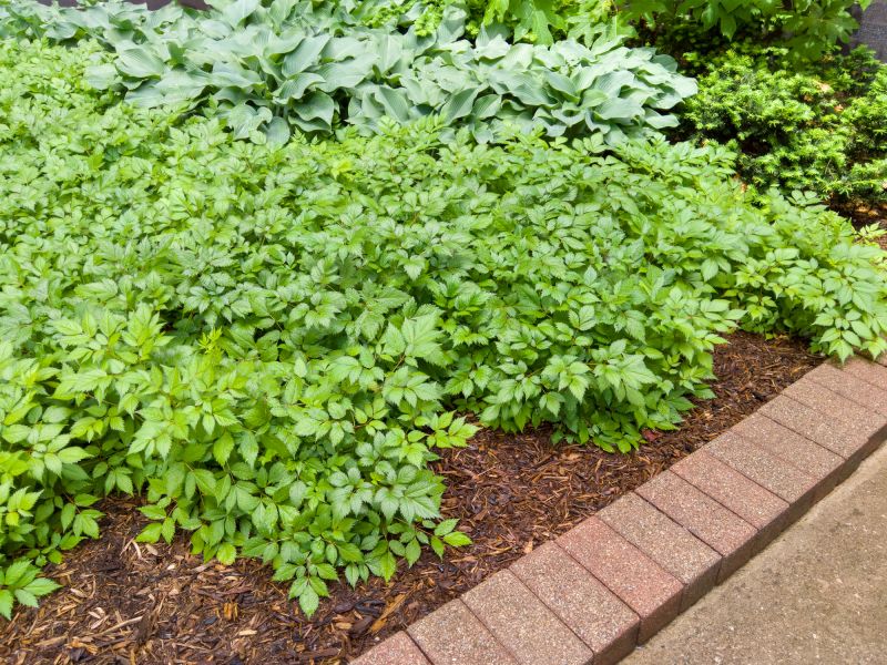 Brick Landscaping Installation in Worcester, MA