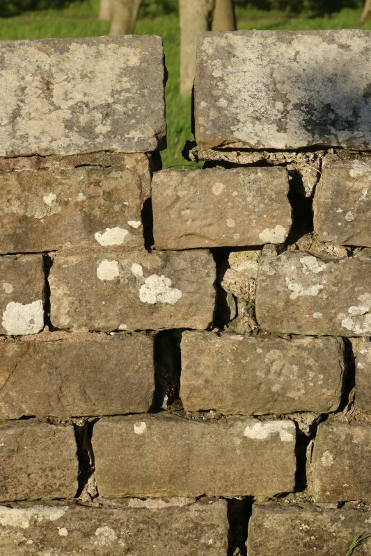 Stone Wall Repair in Cleveland, OH